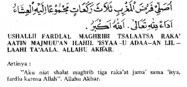 Image2"
